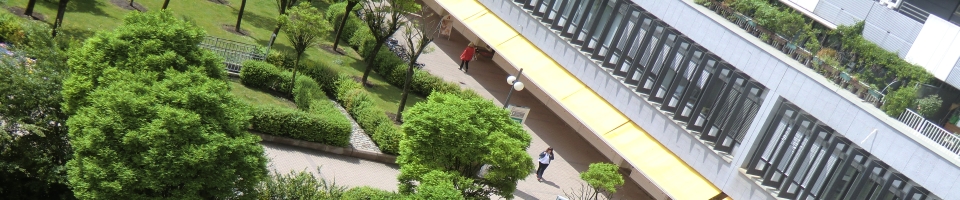 Foto10.jpg