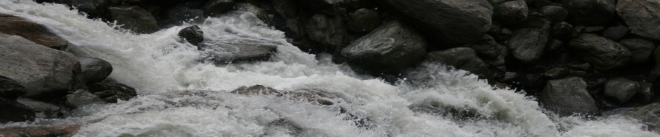 Foto4.jpg